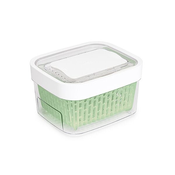 GreenSaver Produce Keeper (1.6 Qt) C8