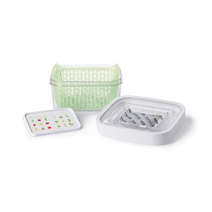 GreenSaver Produce Keeper (1.6 Qt) C8