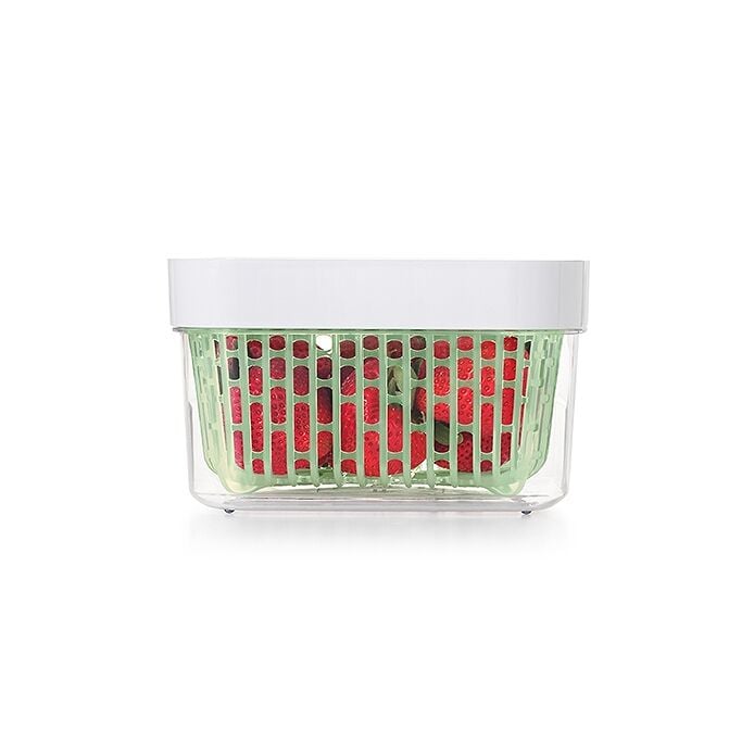 GreenSaver Produce Keeper (1.6 Qt) C8