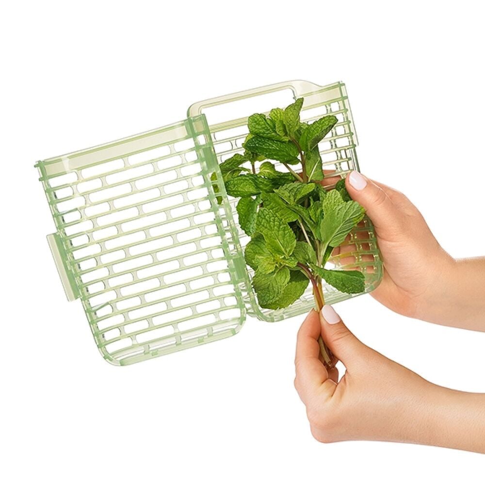 GreenSaver Herb Keeper - Small Y9