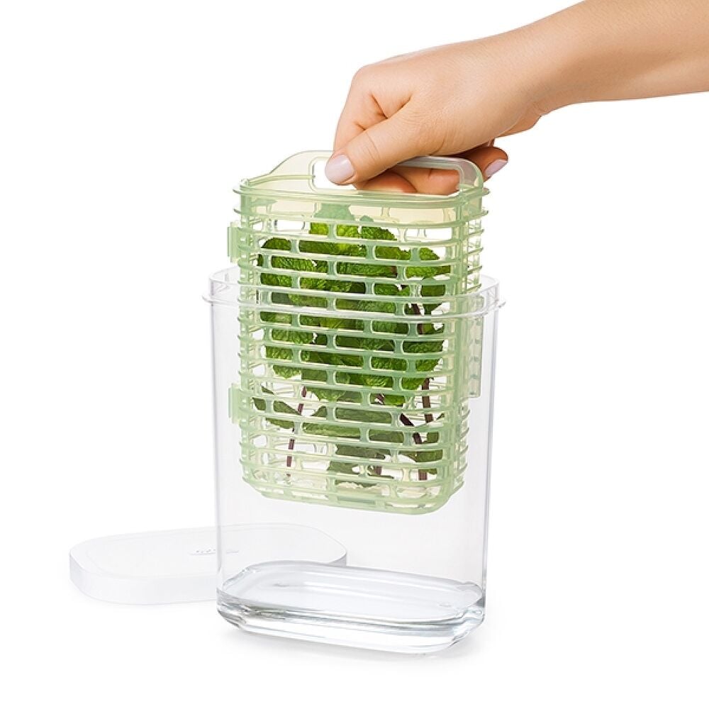 GreenSaver Herb Keeper - Small Y9