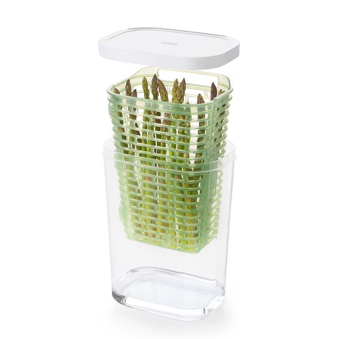 GreenSaver Herb Keeper - Large R4