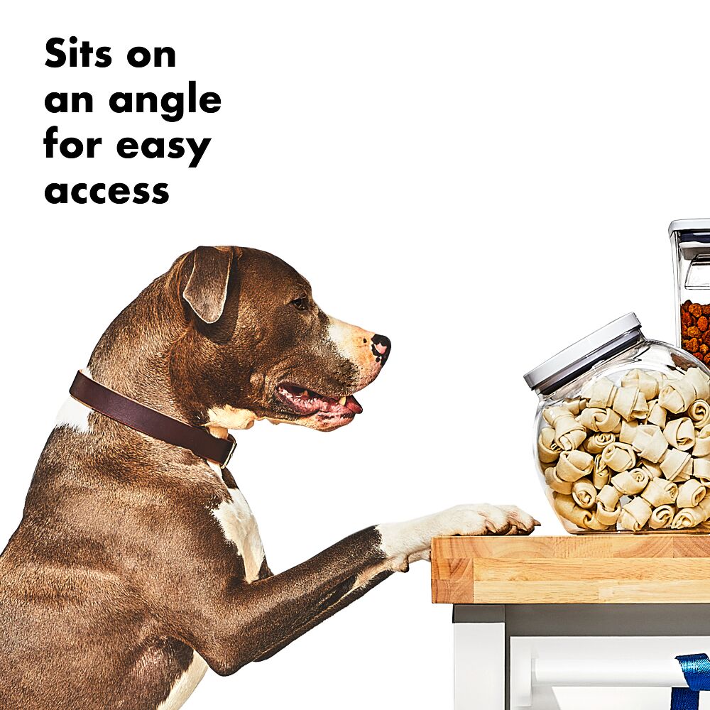 OXO Good Grips Pet POP Container – 3.0 Qt/2.8 L T6