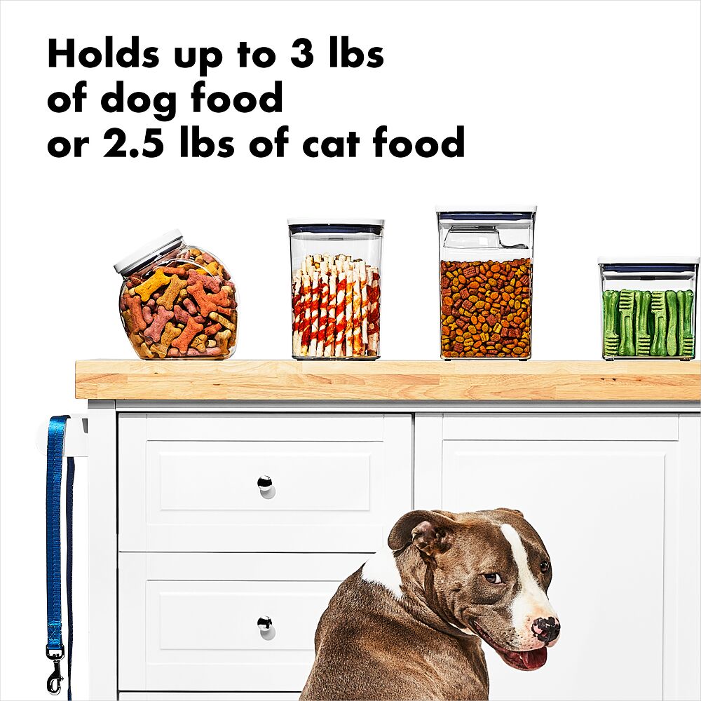 OXO Good Grips Pet POP Container – 3.3 Qt/3.1 L U8