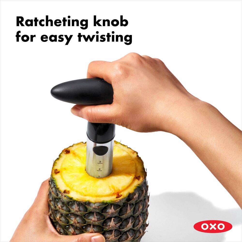 Stainless Steel Pineapple Slicer A9