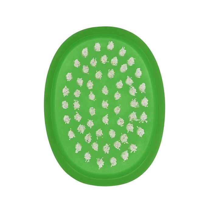 Vegetable Brush Z0