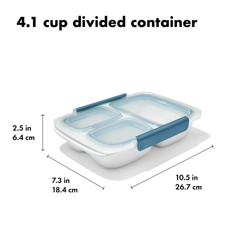 Prep & Go 4.1-Cup Divided Container - Ocean Blue D1