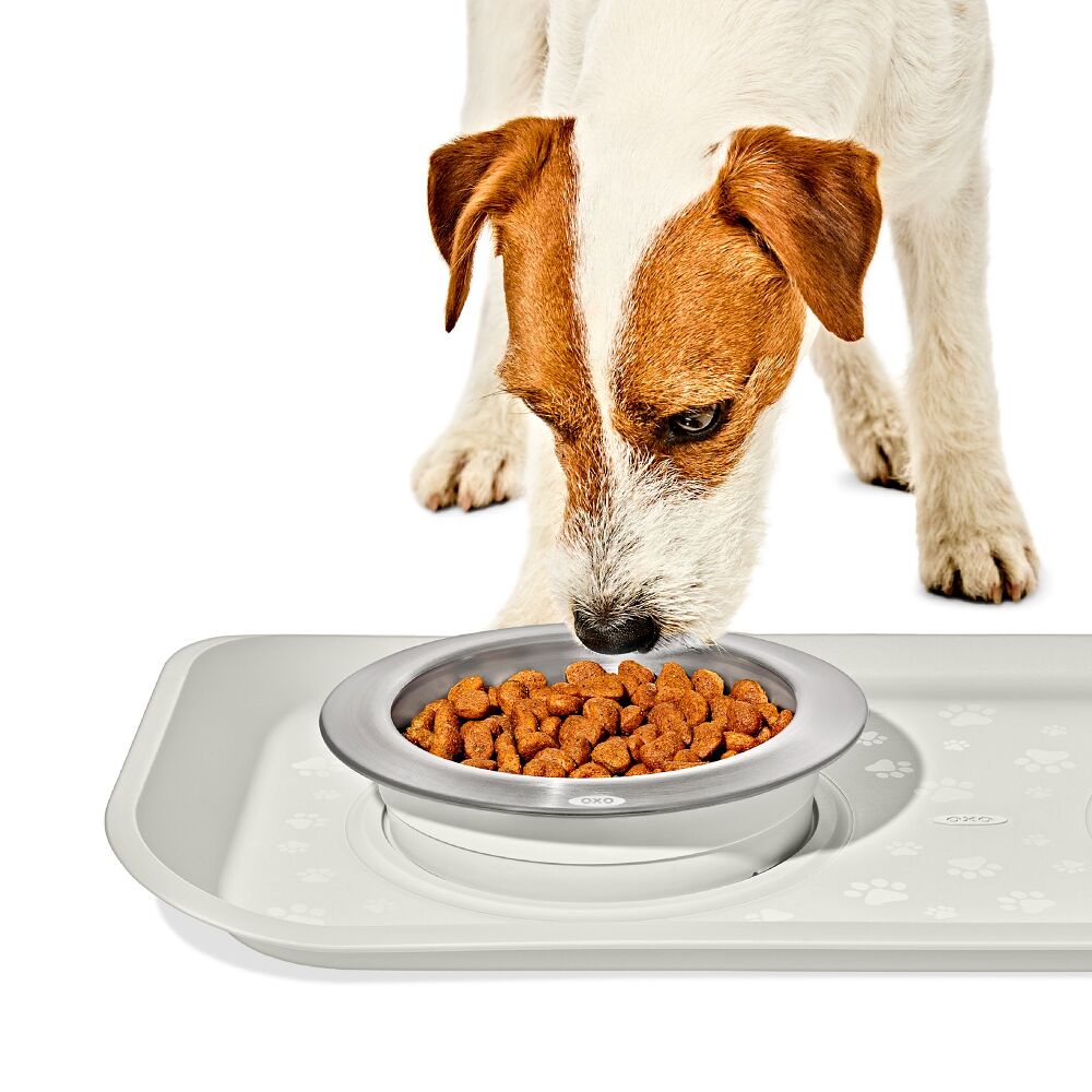 OXO Pet Nonslip Bowl - Small, 1 Cup / 240 mL R4