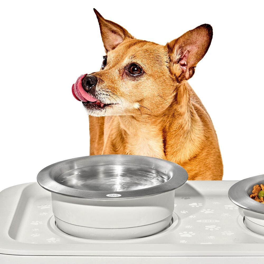 OXO Pet Nonslip Bowl - Medium, 2 Cups / 480 mL D5
