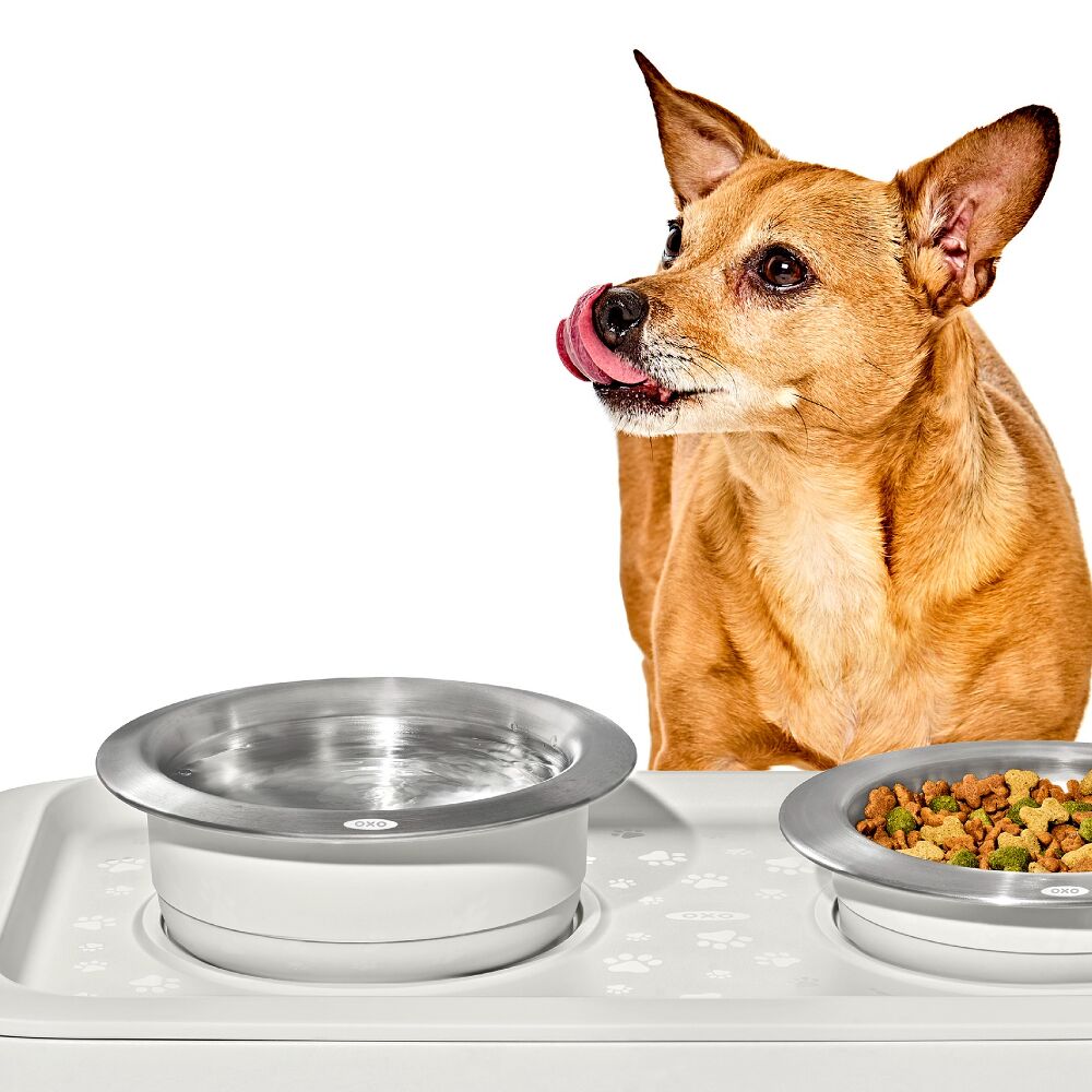 OXO Pet Nonslip Bowl - Large, 4 Cups / 950 mL X4