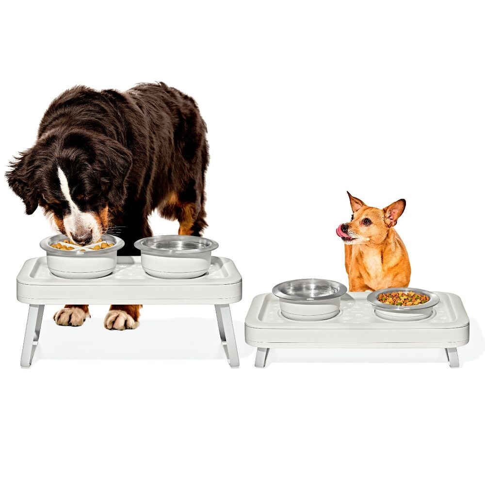 OXO Pet Adjustable Elevated Feeder P3
