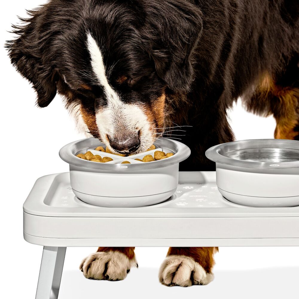 OXO Pet Easy-Clean Slow Feeder - Medium, 2 Cups/489 mL S6