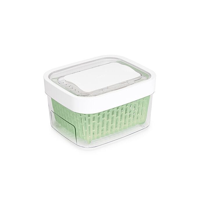 GreenSaver Produce Keeper (1.6 Qt) C8