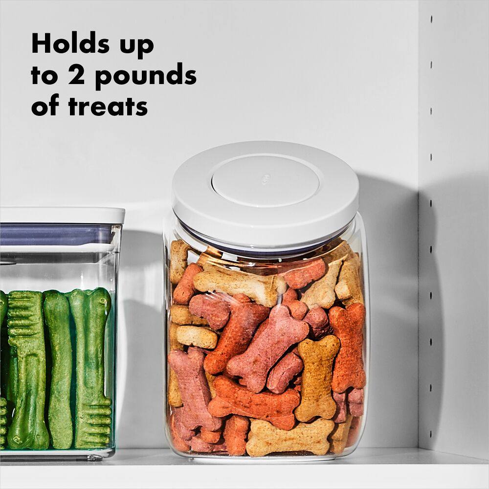 OXO Good Grips Pet POP Container – 3.0 Qt/2.8 L T6