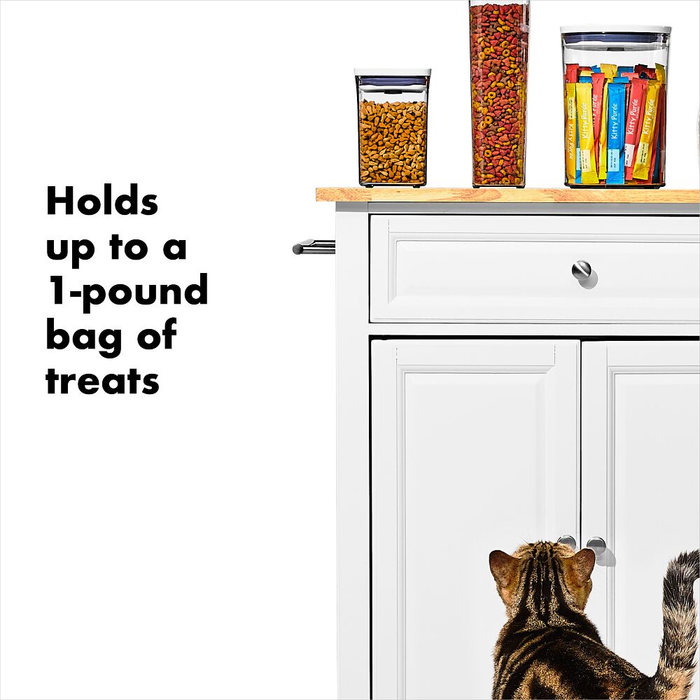OXO Good Grips Pet POP Container – 1.1 Qt/1 L K2