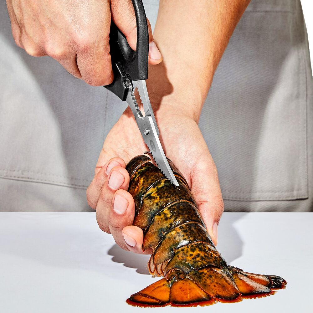 Seafood Scissors Q2