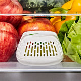 Produce Saver Crisper Drawer Insert  2-Pack T8