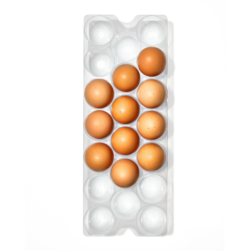 Refrigerator Egg Bin With Removable Tray F5