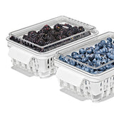 Produce Saver - Berry Keeper 2-Piece Set K8