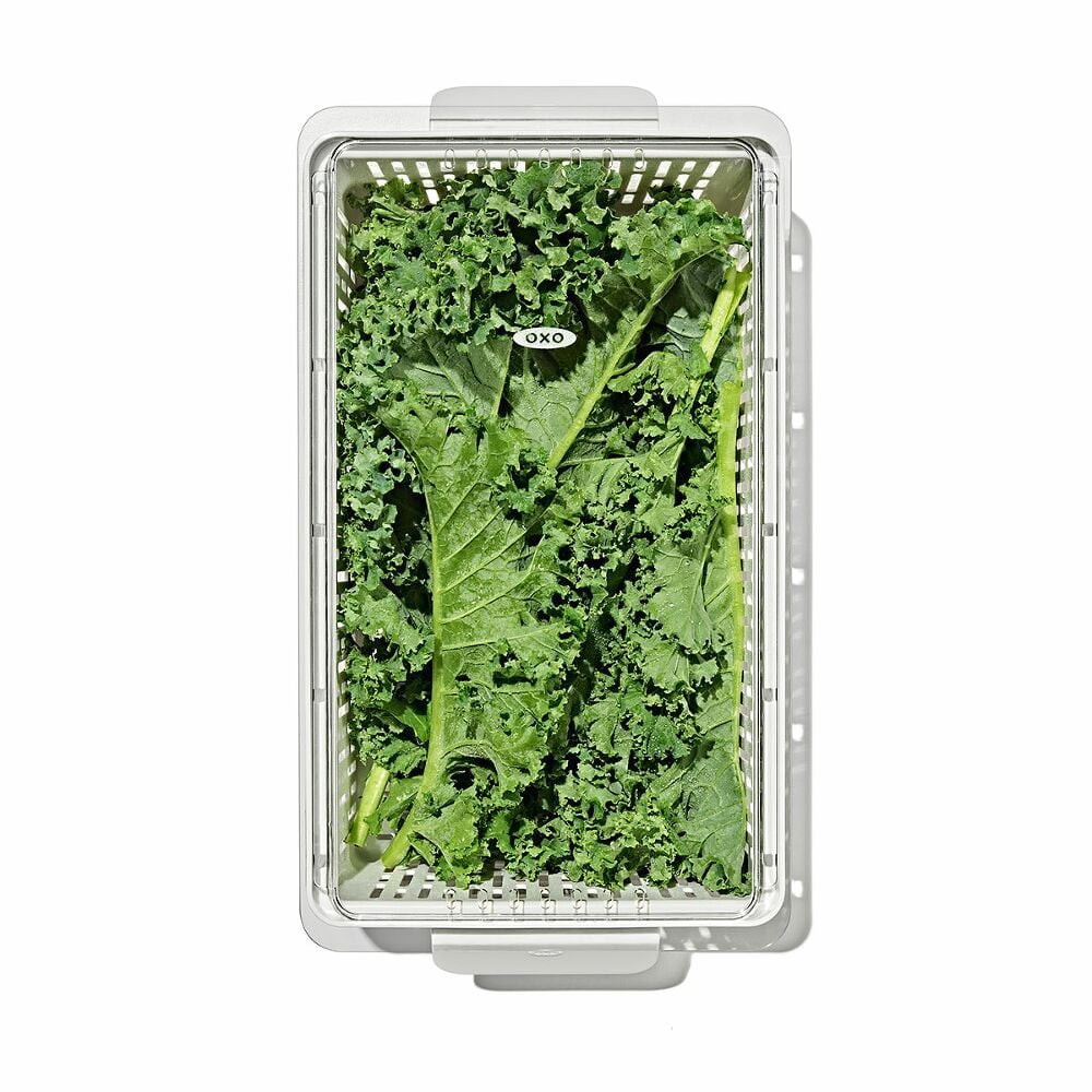 Produce Saver - Medium Bin W2