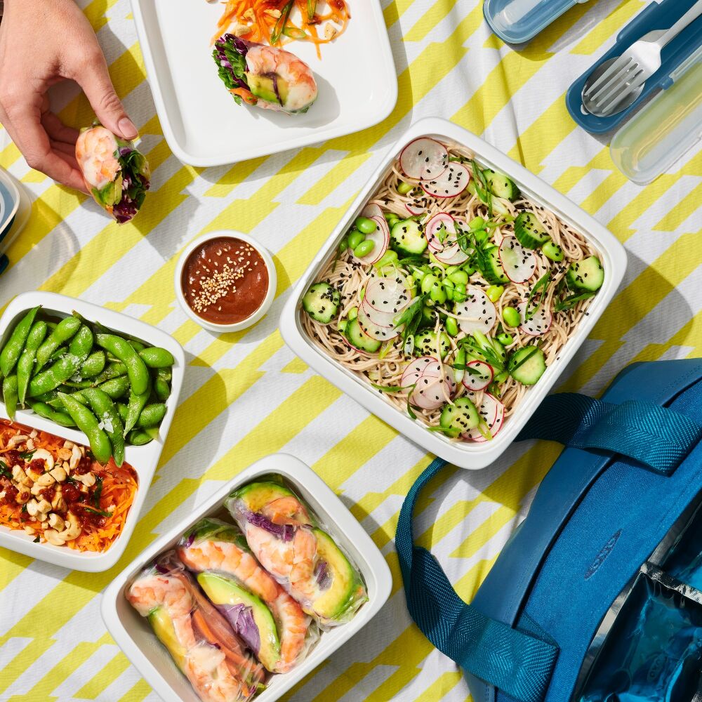 20-Piece Prep & Go Container Set U4