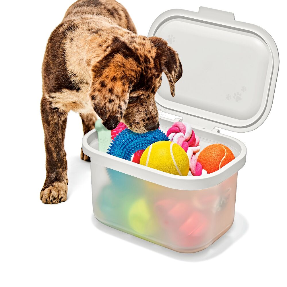 OXO Pet Multi-Purpose Container E3